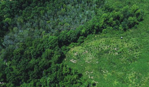 Photo #12 of 147 Hood Loop, Henderson, NC 57.0 acres