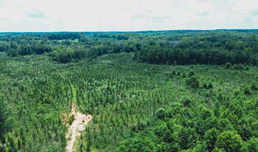 Photo #18 of 147 Hood Loop, Henderson, NC 57.0 acres