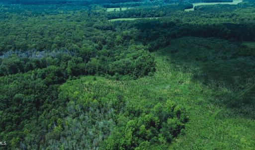 Photo #11 of 147 Hood Loop, Henderson, NC 57.0 acres