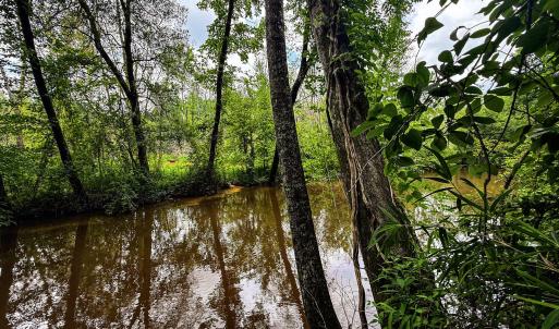 Photo #27 of 147 Hood Loop, Henderson, NC 57.0 acres