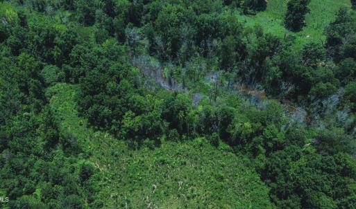 Photo #13 of 147 Hood Loop, Henderson, NC 57.0 acres