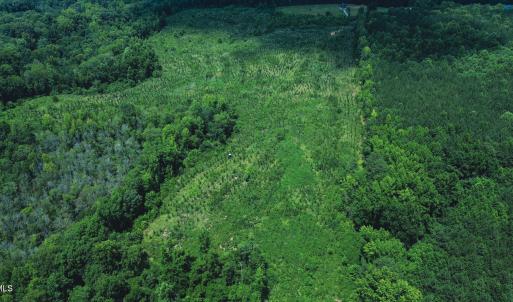 Photo #9 of 147 Hood Loop, Henderson, NC 57.0 acres