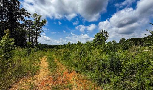 Photo #33 of 147 Hood Loop, Henderson, NC 57.0 acres