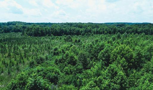 Photo #23 of 147 Hood Loop, Henderson, NC 57.0 acres