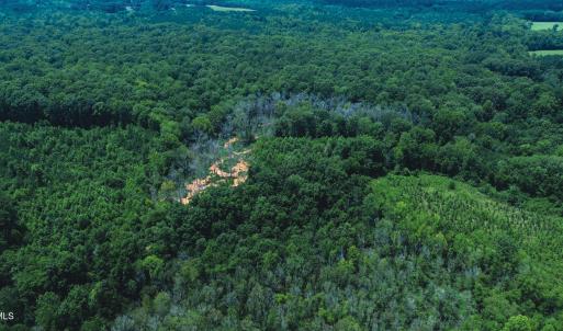 Photo #10 of 147 Hood Loop, Henderson, NC 57.0 acres
