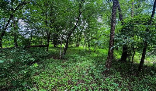 Photo #29 of 147 Hood Loop, Henderson, NC 57.0 acres