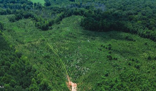 Photo #3 of 147 Hood Loop, Henderson, NC 57.0 acres