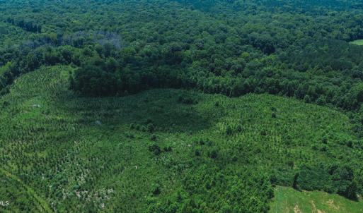 Photo #5 of 147 Hood Loop, Henderson, NC 57.0 acres