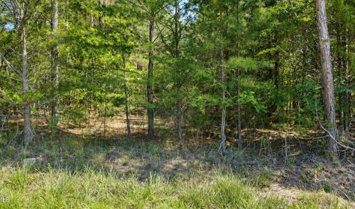 acreage timberlake nc