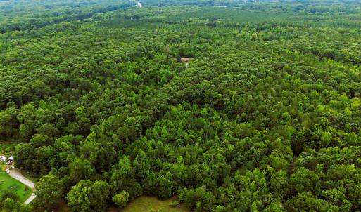 Photo #1 of Weldon Painter, Timberlake, NC 10.1 acres
