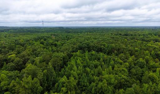 Photo #3 of Weldon Painter, Timberlake, NC 10.1 acres