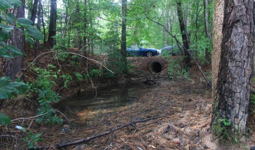 Drainage