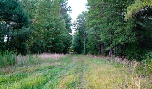 9 Paras 19.3 Acres Bunnlevel Erwin Rd