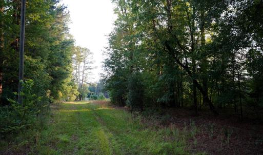 10 Paras 19.3 Acres Bunnlevel Erwin Rd