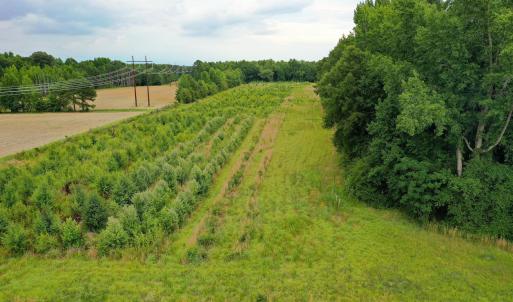 17 Paras 19.3 Acres Bunnlevel Erwin Rd