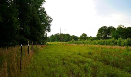 22 Paras 19.3 Acres Bunnlevel Erwin Rd