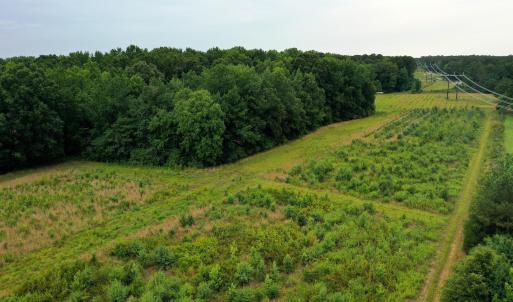23 Paras 19.3 Acres Bunnlevel Erwin Rd