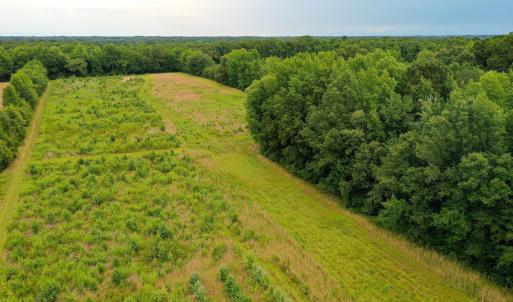24 Paras 19.3 Acres Bunnlevel Erwin Rd