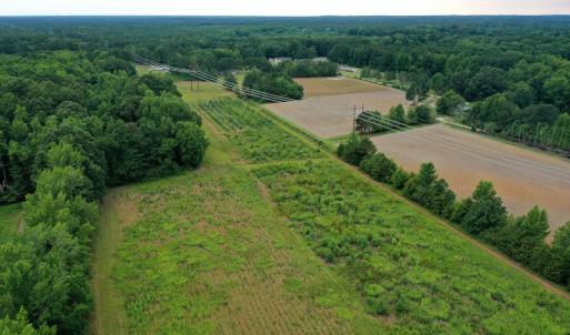 25 Paras 19.3 Acres Bunnlevel Erwin Rd