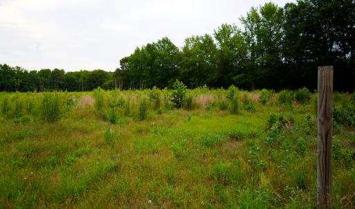 26 Paras 19.3 Acres Bunnlevel Erwin Rd