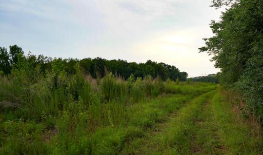 28 Paras 19.3 Acres Bunnlevel Erwin Rd