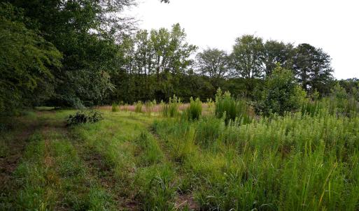 29 Paras 19.3 Acres Bunnlevel Erwin Rd