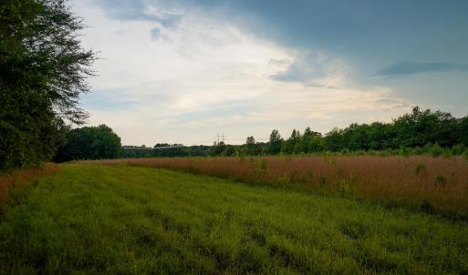 30 Paras 19.3 Acres Bunnlevel Erwin Rd
