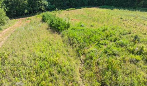 Caswell Co. NC 49.36-COA-Lot3-042