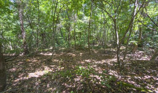 Caswell Co. NC 49.36-COA-Lot3-043