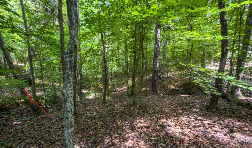 Caswell Co. NC 14.66-COA-Lot4-13