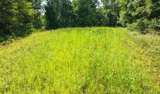 Caswell Co. NC 14.66-COA-Lot4-22