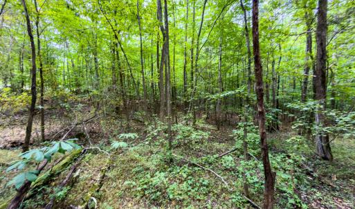 Caswell Co. NC 14.66-COA-Lot4-30