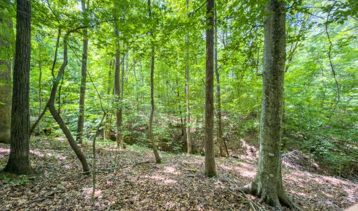 Caswell Co. NC 14.66-COA-Lot4-33