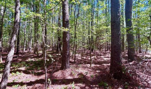 Photo #8 of Pool Rock Plantation, Henderson, NC 0.5 acres