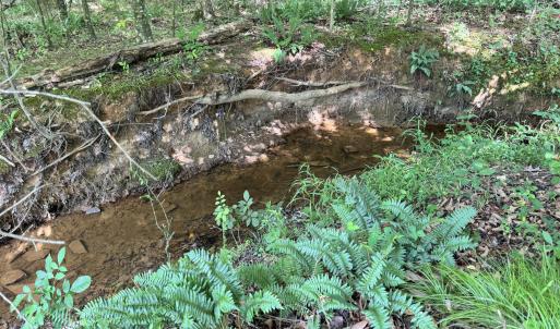 Photo #4 of 2 Gray, Timberlake, NC 10.8 acres
