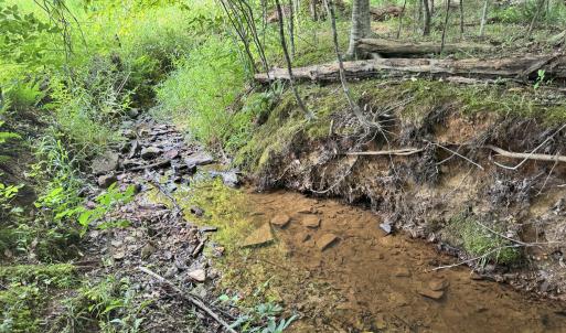 Photo #3 of 2 Gray, Timberlake, NC 10.8 acres