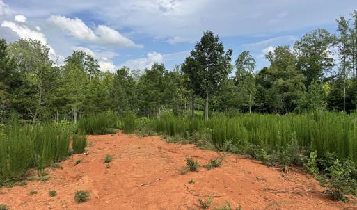Photo #13 of 2 Gray, Timberlake, NC 10.8 acres