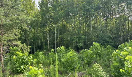 Photo #15 of 2 Gray, Timberlake, NC 10.8 acres