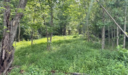 Photo #16 of 2 Gray, Timberlake, NC 10.8 acres
