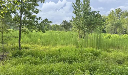 Photo #18 of 2 Gray, Timberlake, NC 10.8 acres
