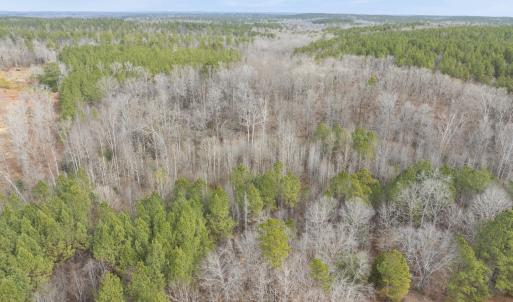 DJI_20260212111252_0075_D