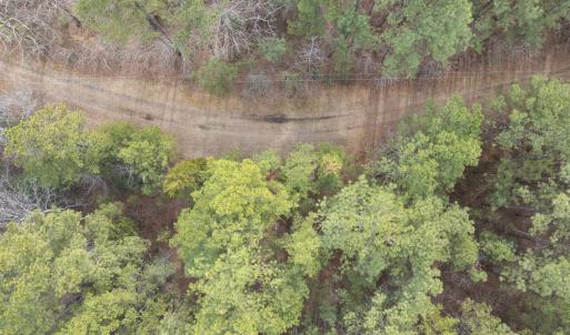 DJI_20260212111309_0078_D