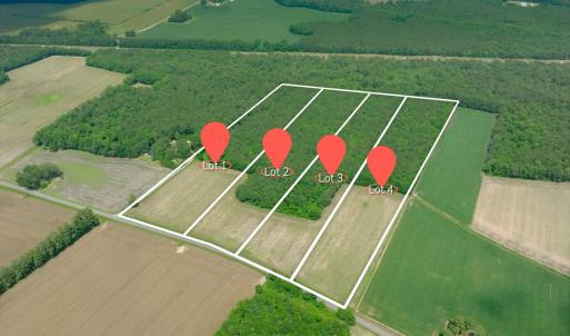 Photo #2 of 3 Bowden, Turkey, NC 11.0 acres