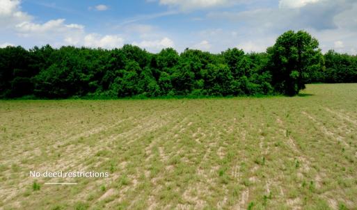 Photo #31 of 3 Bowden, Turkey, NC 11.0 acres