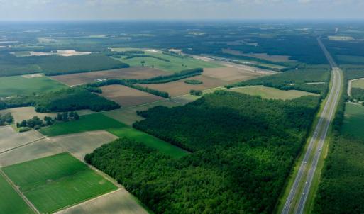 Photo #22 of 3 Bowden, Turkey, NC 11.0 acres
