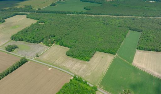 Photo #24 of 3 Bowden, Turkey, NC 11.0 acres