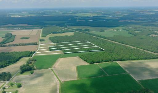 Photo #5 of 3 Bowden, Turkey, NC 11.0 acres