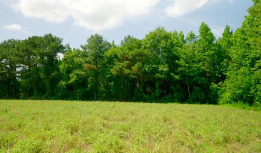 Photo #28 of 3 Bowden, Turkey, NC 11.0 acres