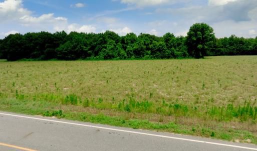 Photo #3 of 3 Bowden, Turkey, NC 11.0 acres