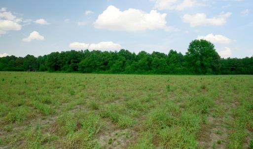 Photo #29 of 3 Bowden, Turkey, NC 11.0 acres